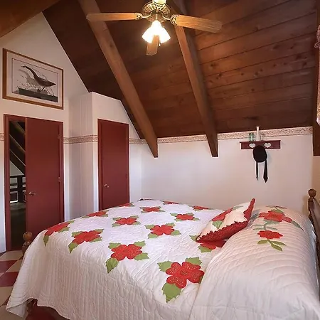 3 Acre A-frame In Amish Farmland *
